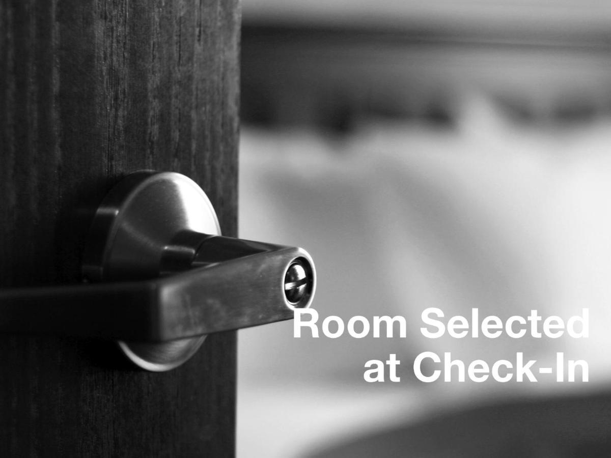 Staybridge - By Ihg Brownsville